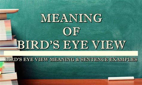 bird’s eye view meaning, origin, example, sentence, history .